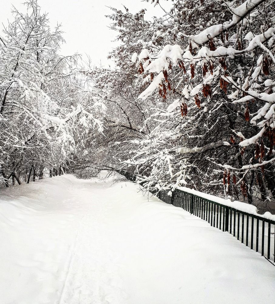 Photograph by Radaev Alexandr