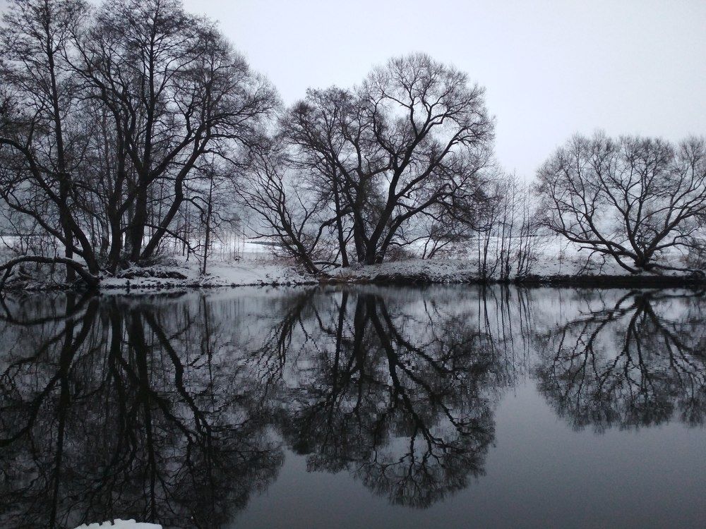 Photograph by Татьяна Шарко