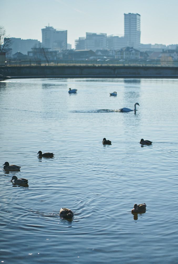 Photograph by Евгений Вагуро
