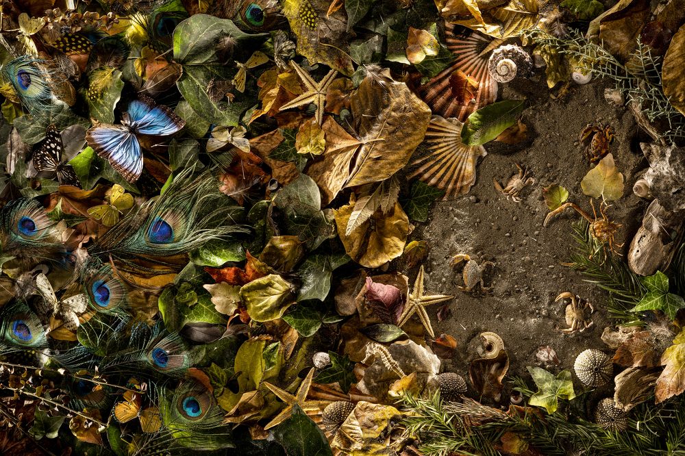 Combined Sky and Sea