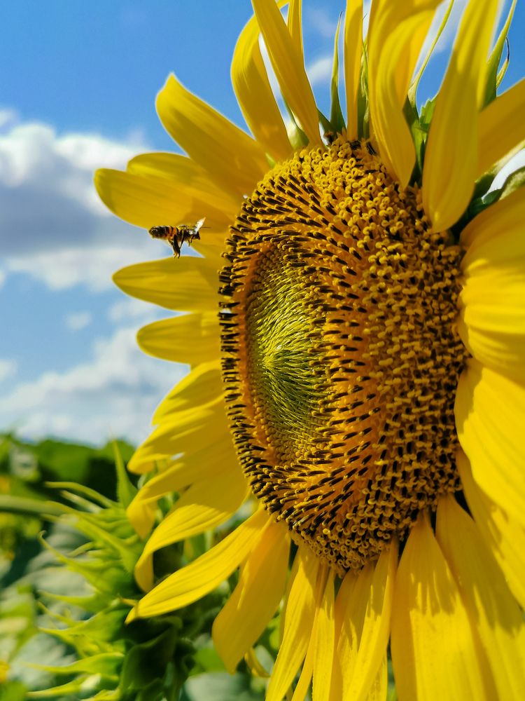 Фотография автора Дмитрий