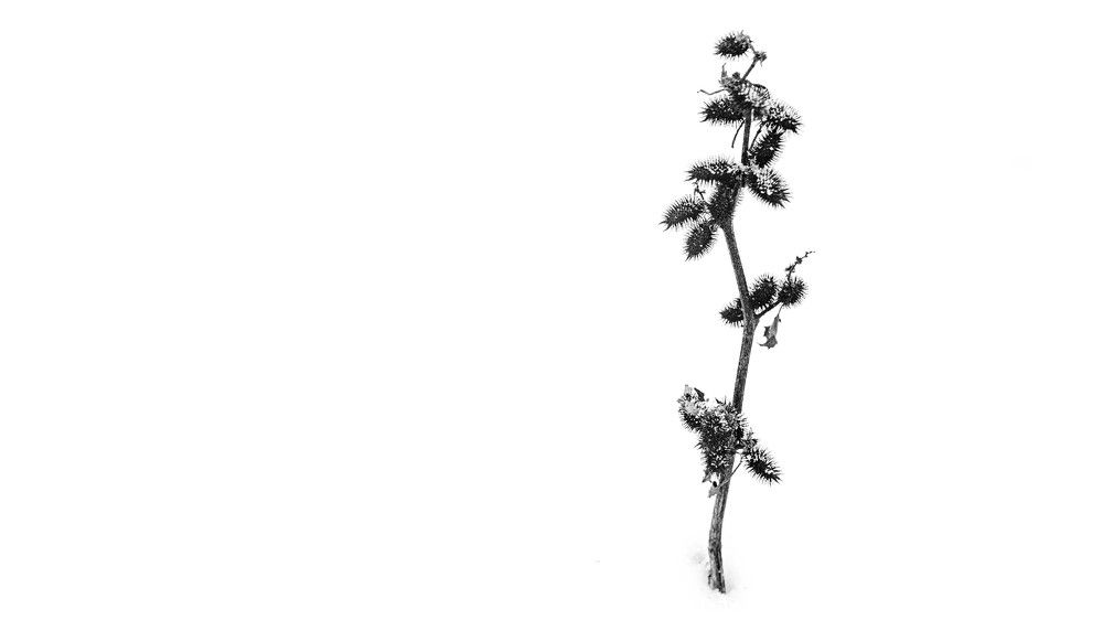 Photograph by Скорняков Андрей