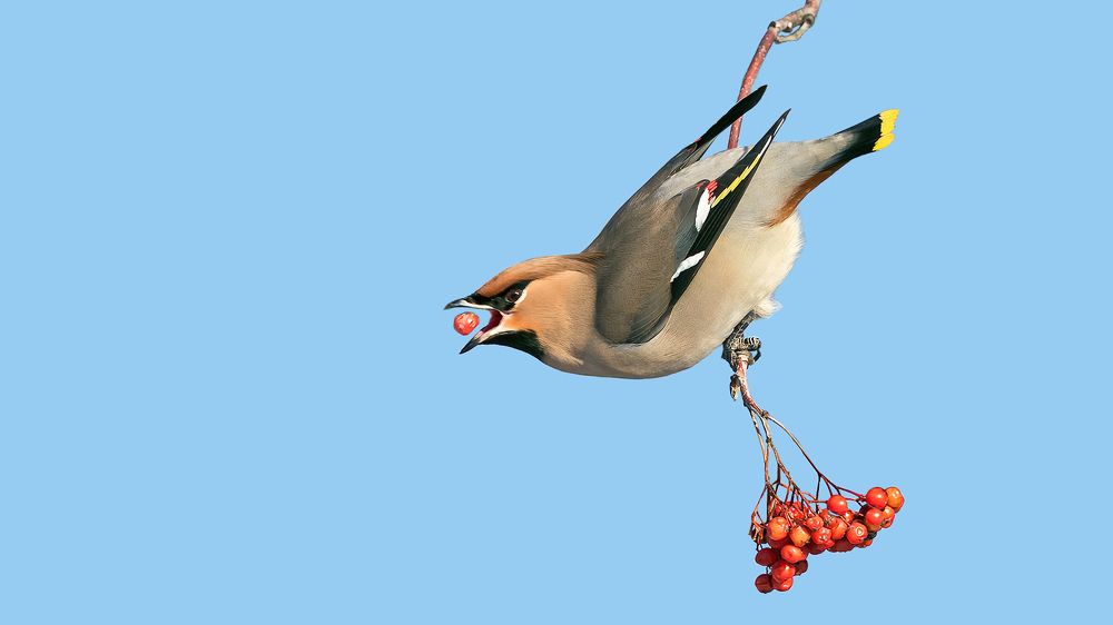 Photograph by Олег Колмаков