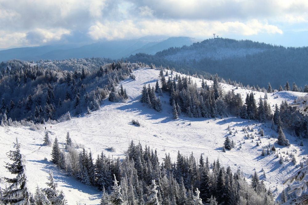 Фотография автора Наталія Савка