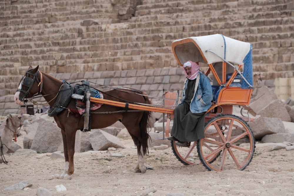 Photograph by Андрей Мертвищев