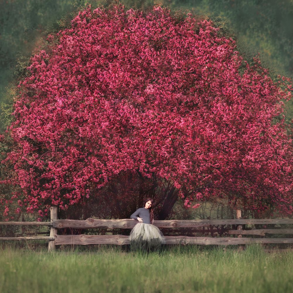 Photograph by Anna Łaskarzewska