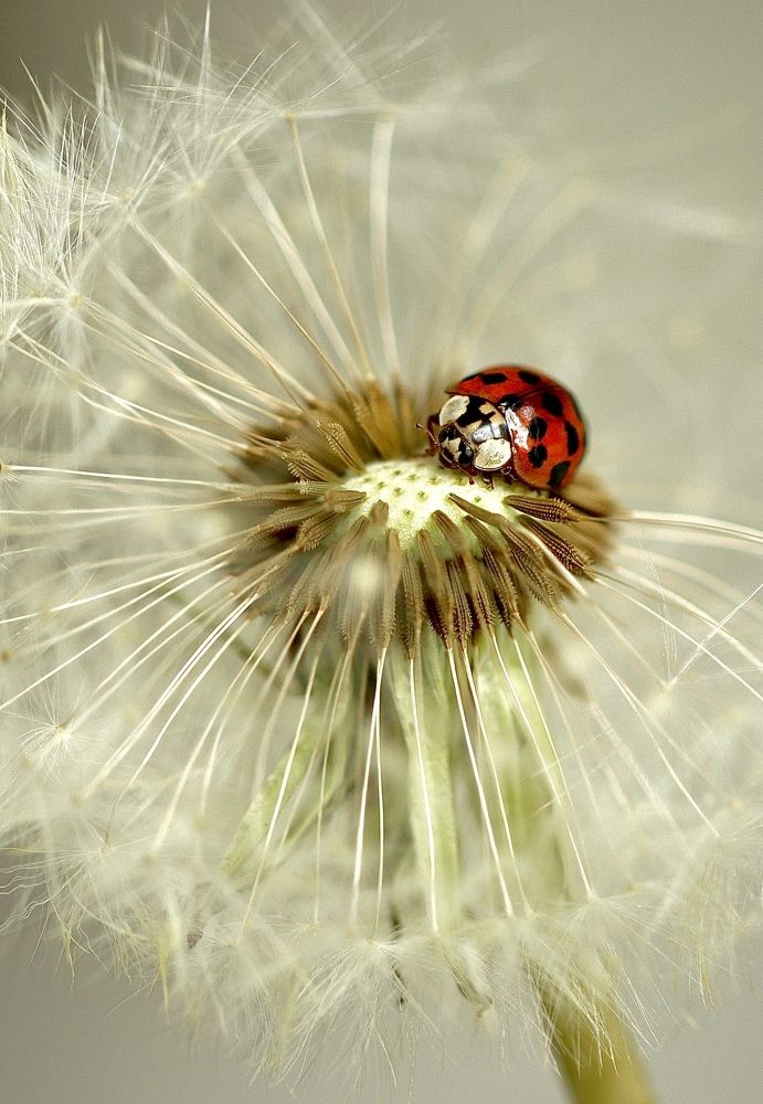 Photograph by Малика Маткарим