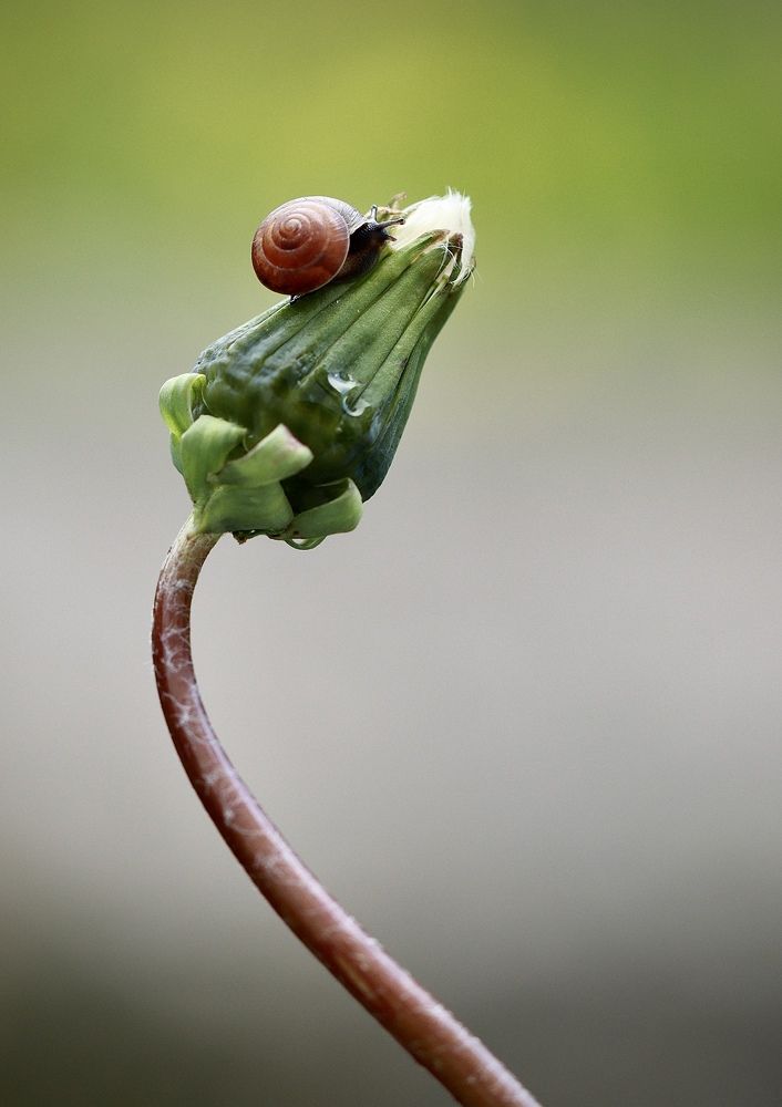 Photograph by Малика Маткарим