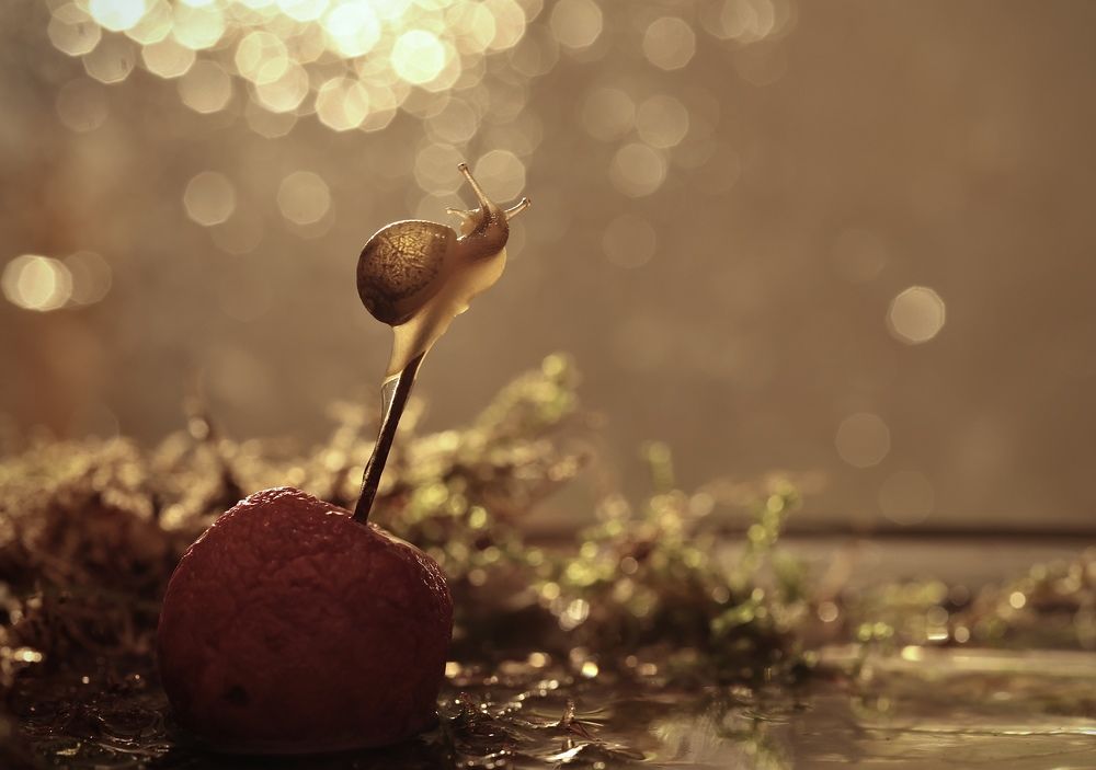 Photograph by Малика Маткарим