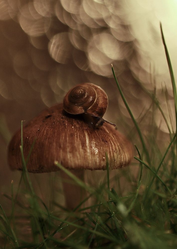 Photograph by Малика Маткарим