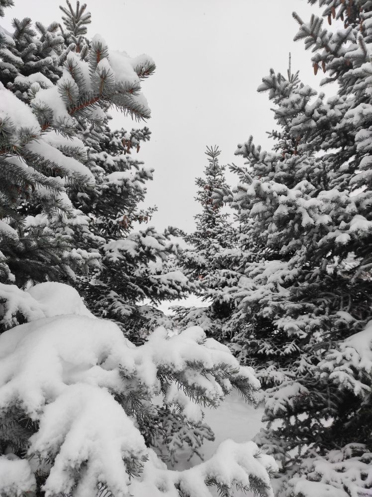 Фотография автора Марина Алексеевская