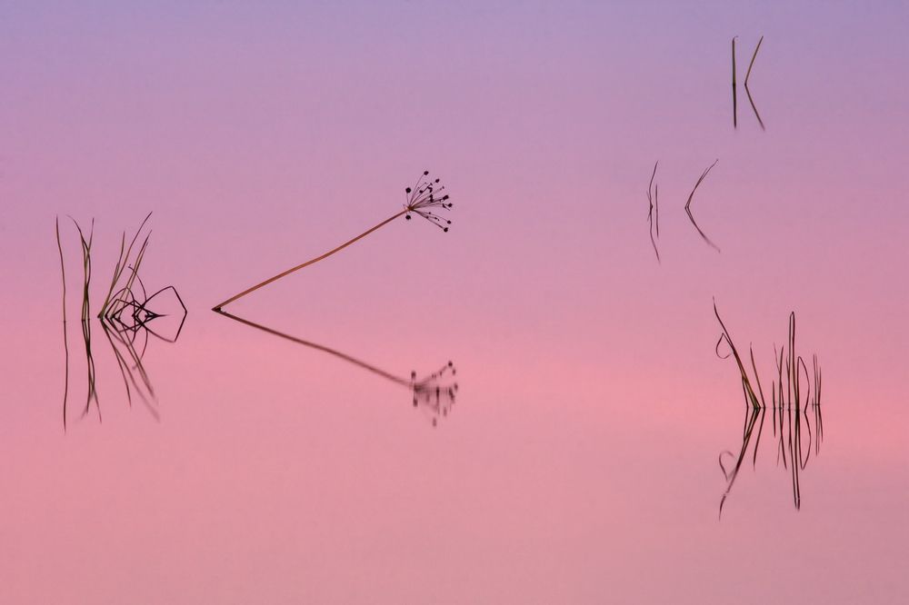 Photograph by Сергей Чарушин