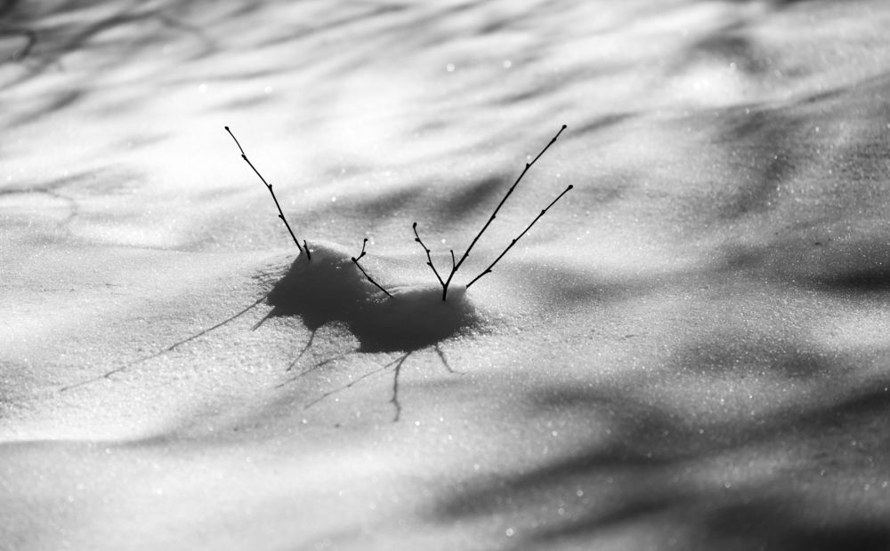 Photograph by Hristo Chorbadzhiyski