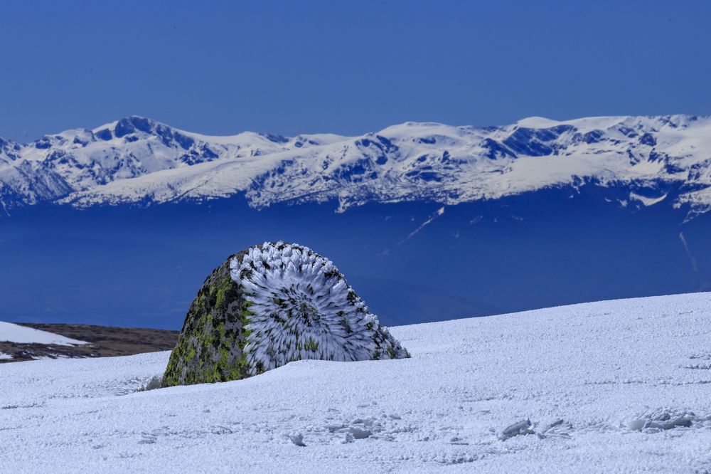 Photograph by Hristo Chorbadzhiyski