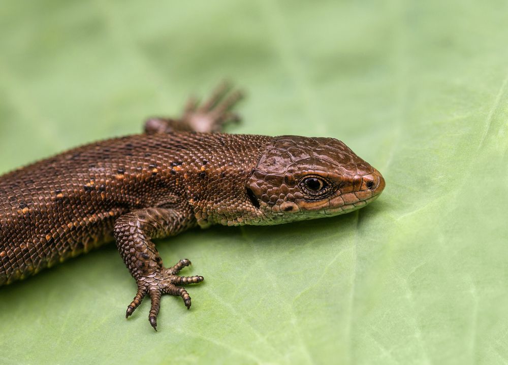 Photograph by Марина Багрова