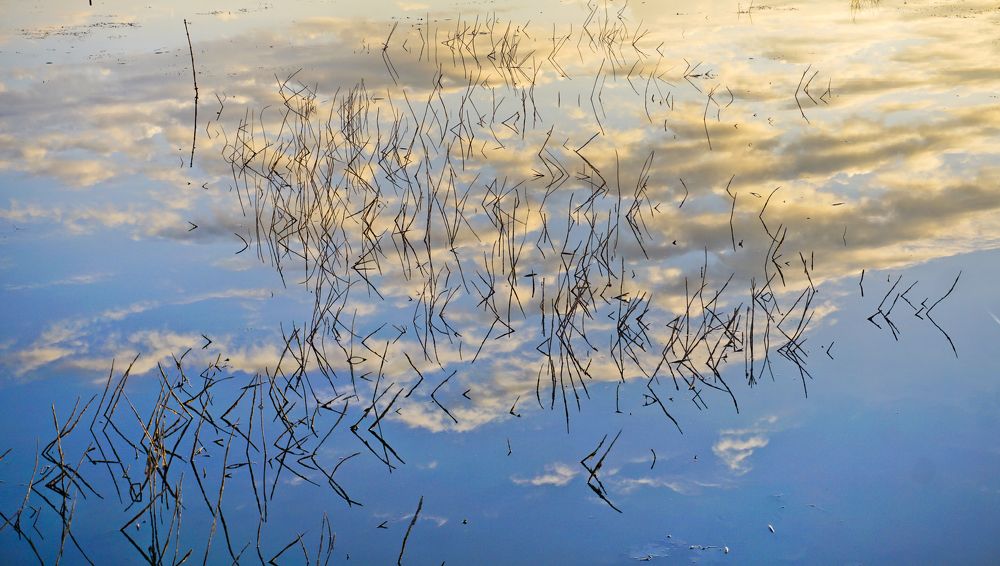 Фотография автора Эрнст Антонов