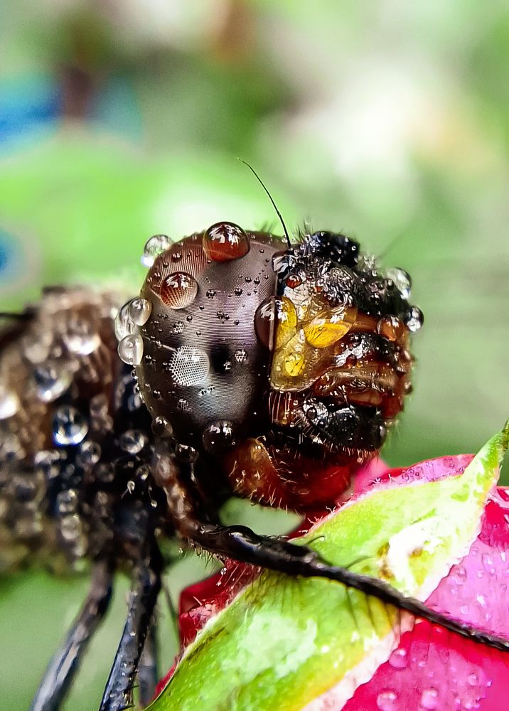 Photograph by Vishnu SR