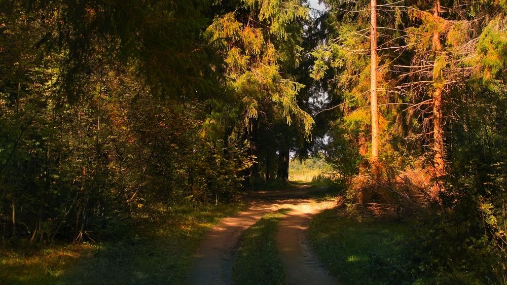 Фотография автора Vadim