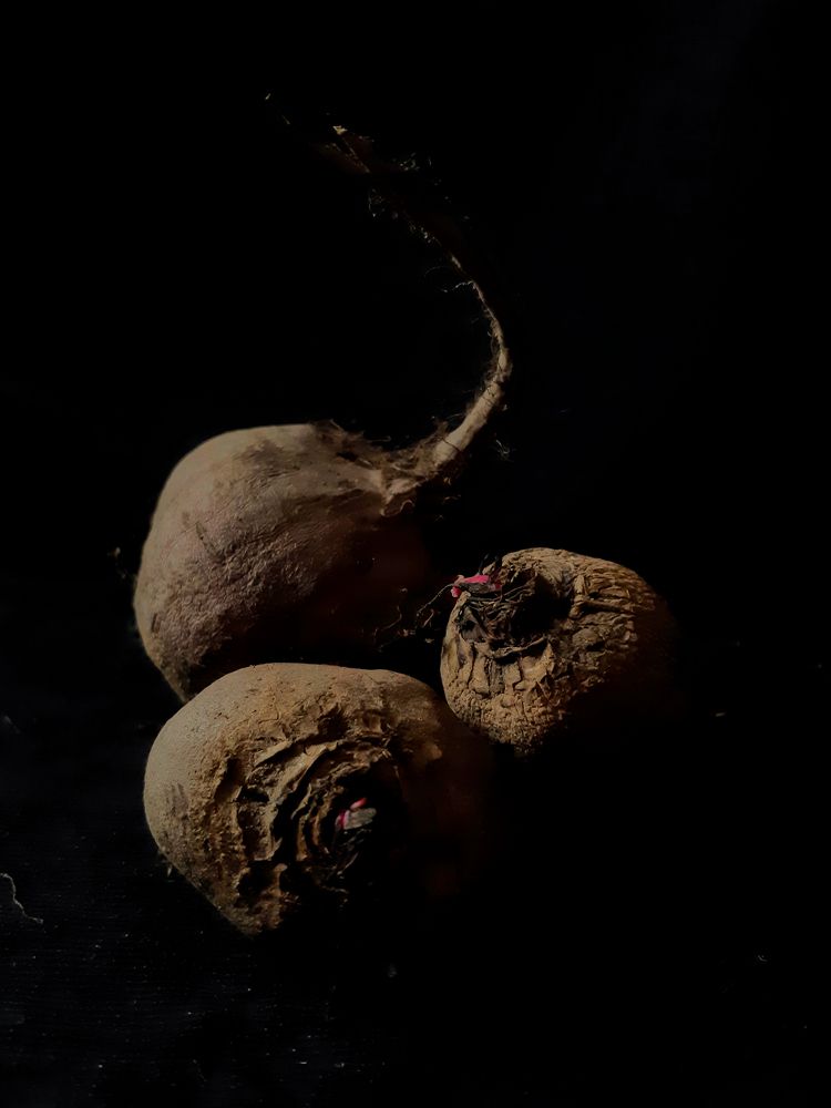 Фотография автора Марина Маллаева