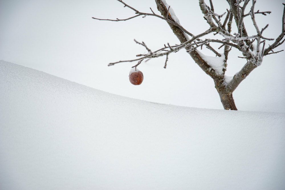 Photograph by Наталья Камайкина