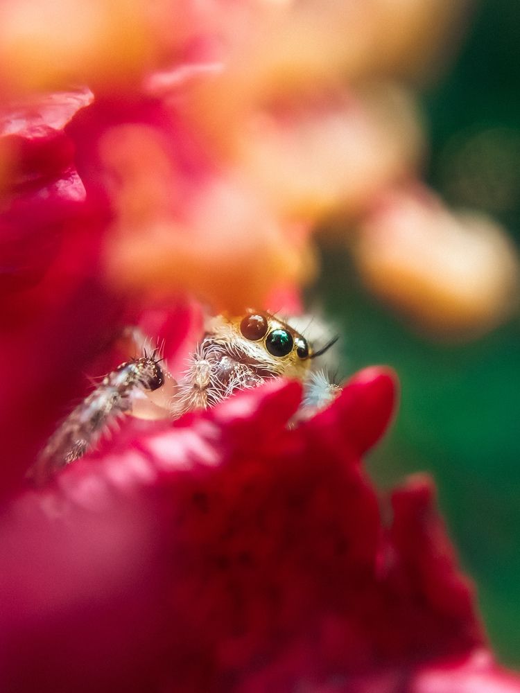 Photograph by Vishnu SR