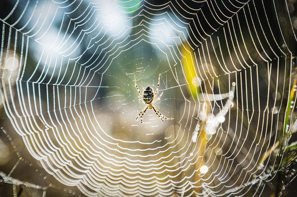 Фотография автора Игорь Хлибович