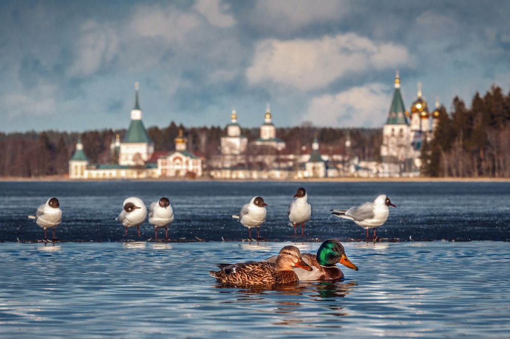 Photograph by Тимофей Шутов