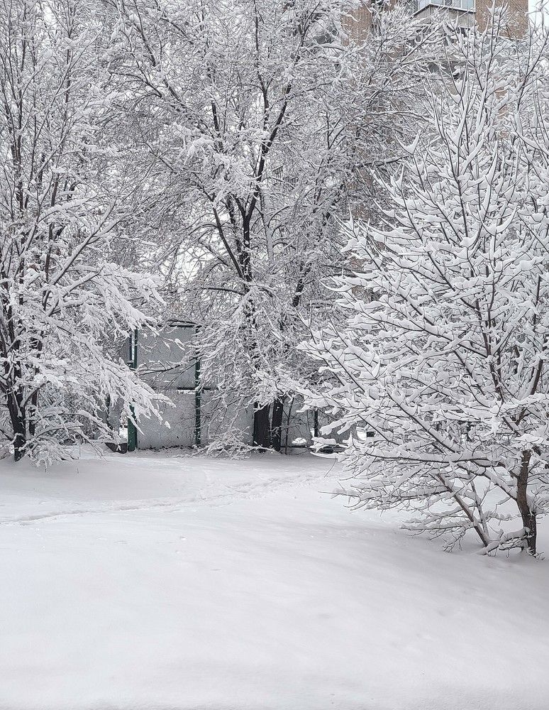 Фотография автора Ольга Игуменова
