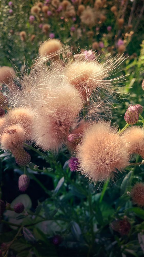 Photograph by Svetlana Victorovna Kibyakova