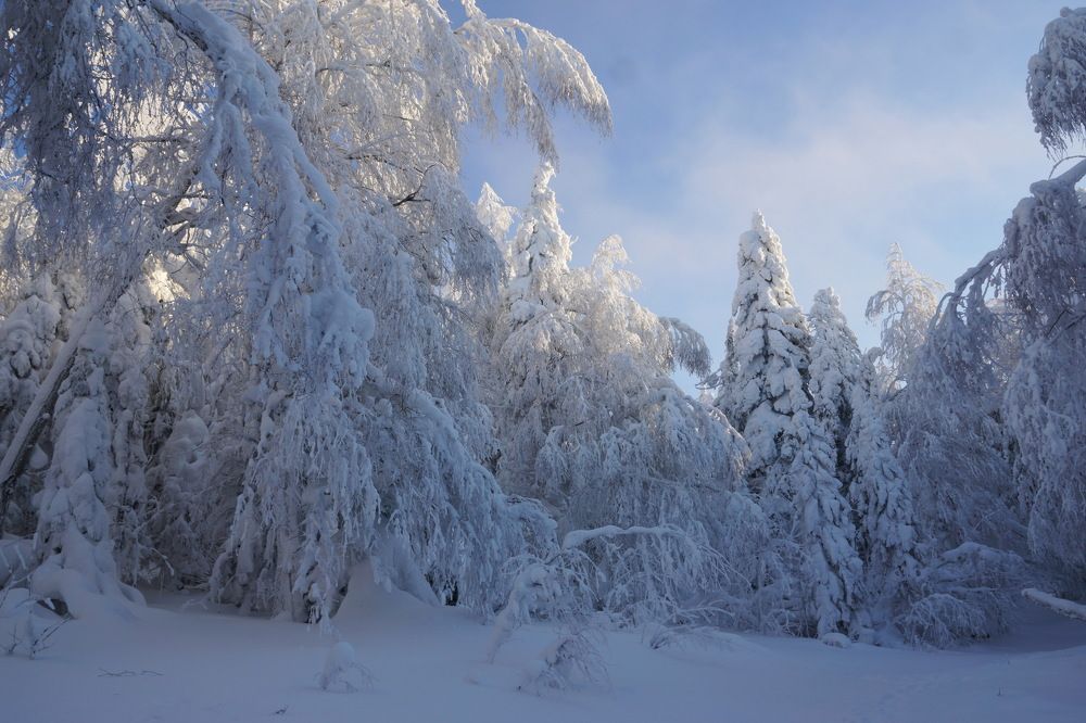 Photograph by Елена Осокина