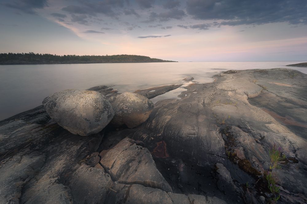 Фотография автора Светлана Морозова