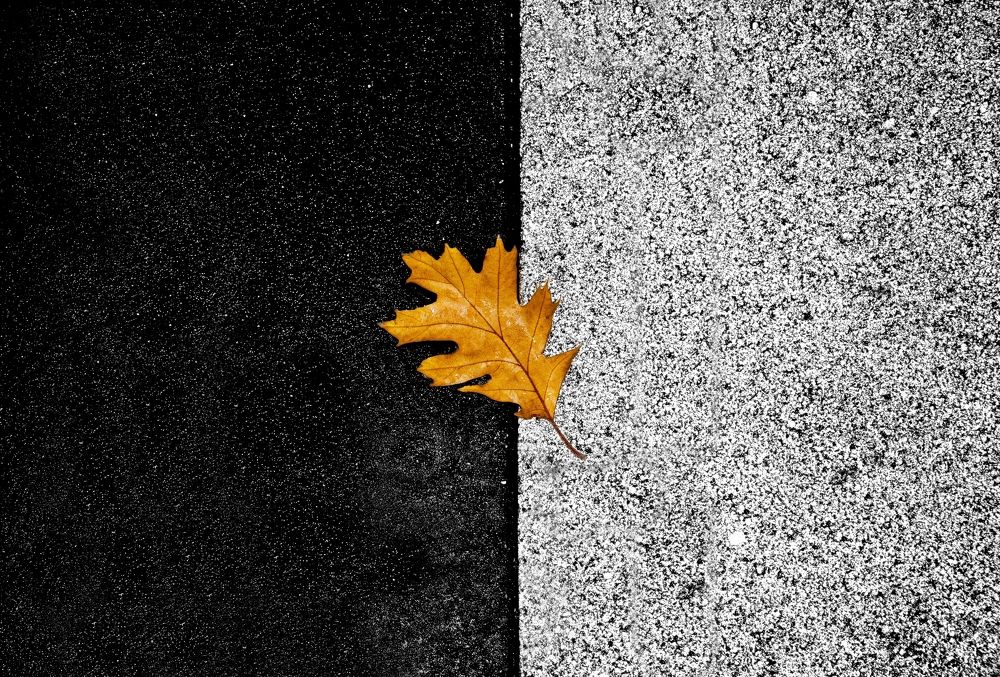 Photograph by Валерий Клейменов