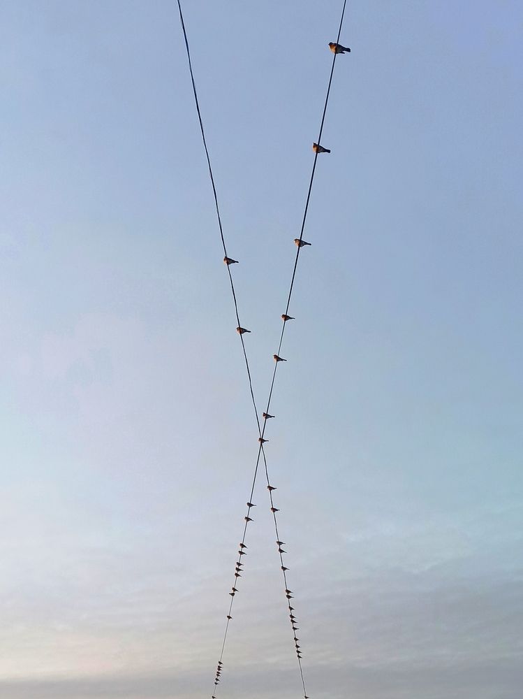 Photograph by Светлана