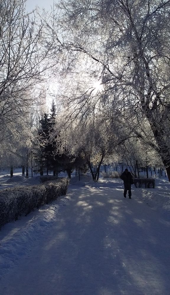 Photograph by Анастасия Кичигина