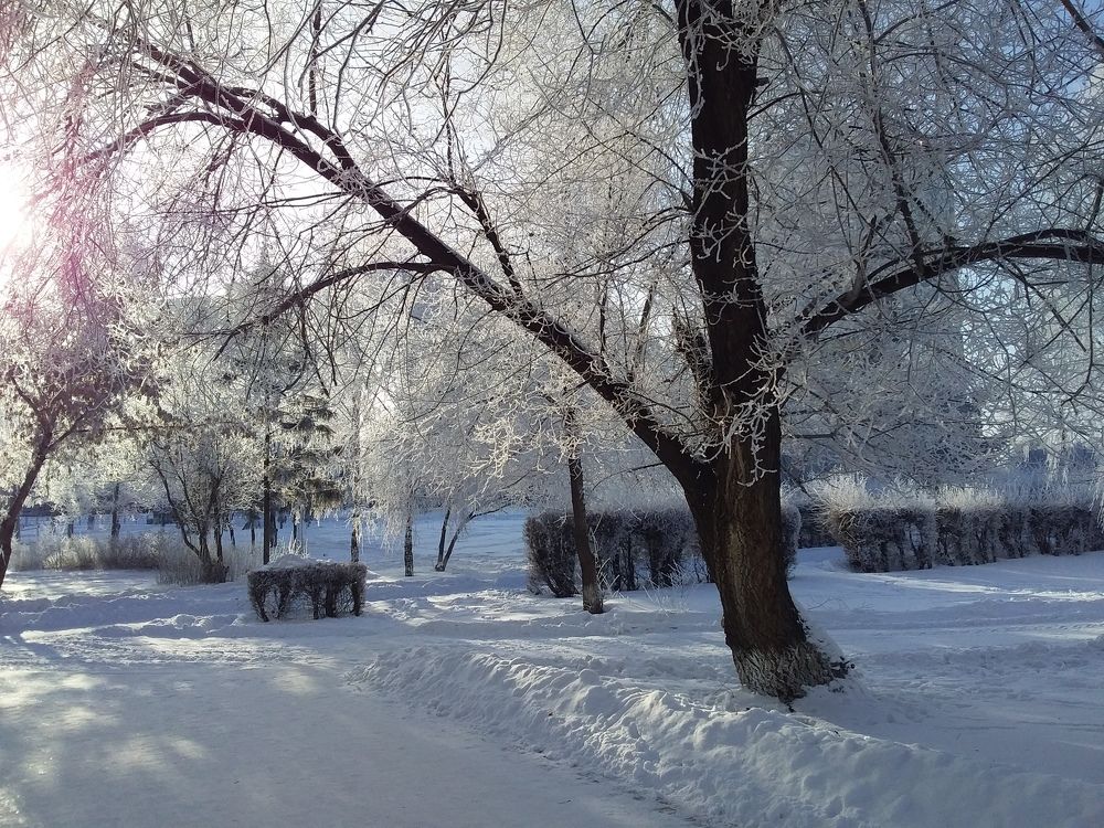 Photograph by Анастасия Кичигина