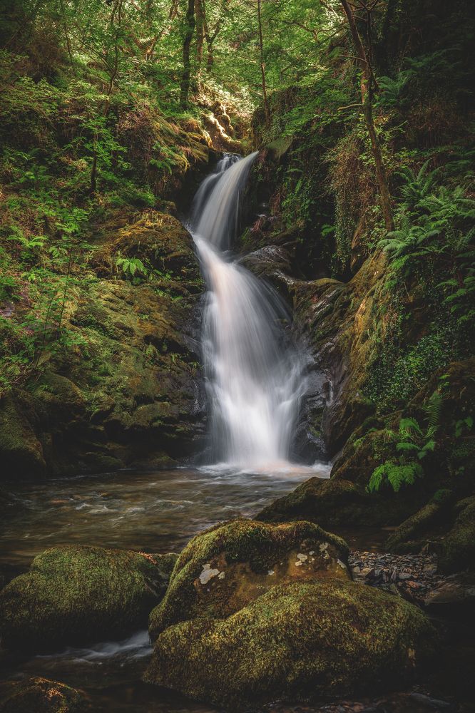 Photograph by Andy Fowlie