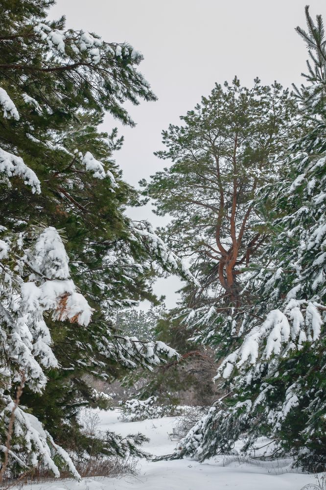 Photograph by Светлана Корнеева