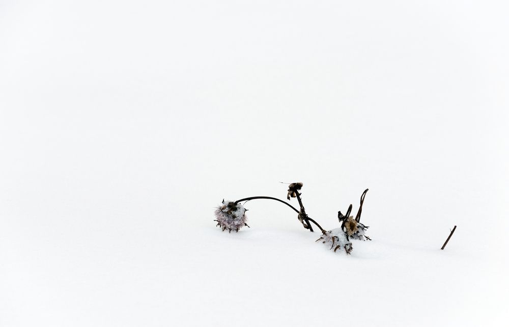 Photograph by Валерий Клейменов