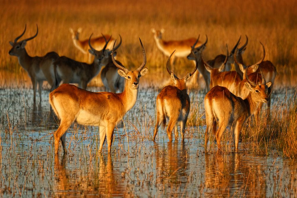 Photograph by Ирина Худзинская