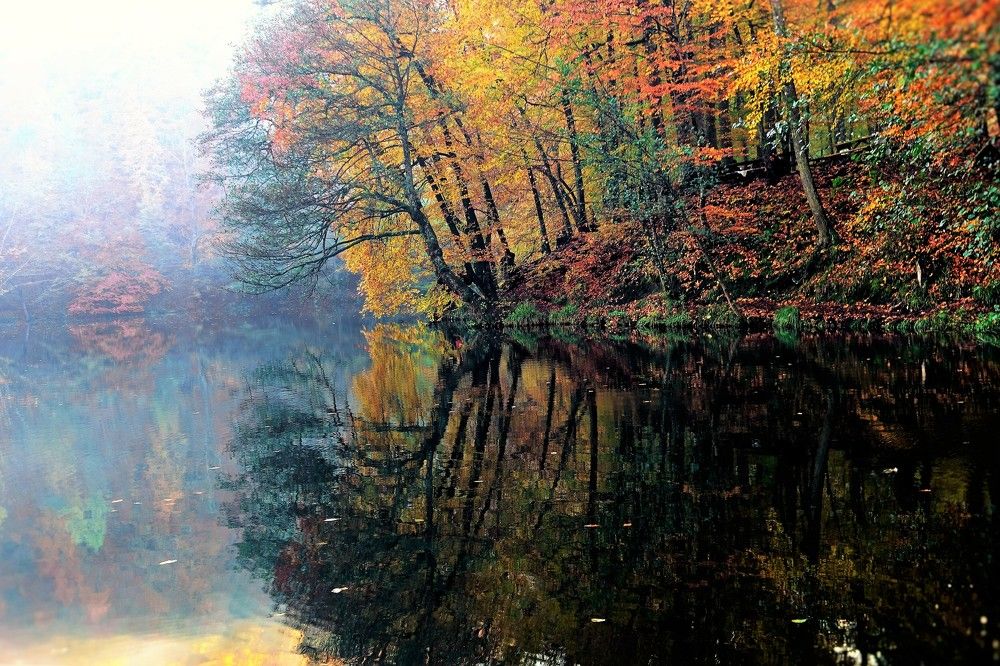 Once upon a time,on an autumm day....