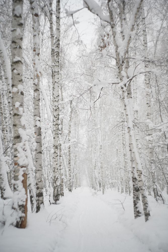 Photograph by Мария Федотова