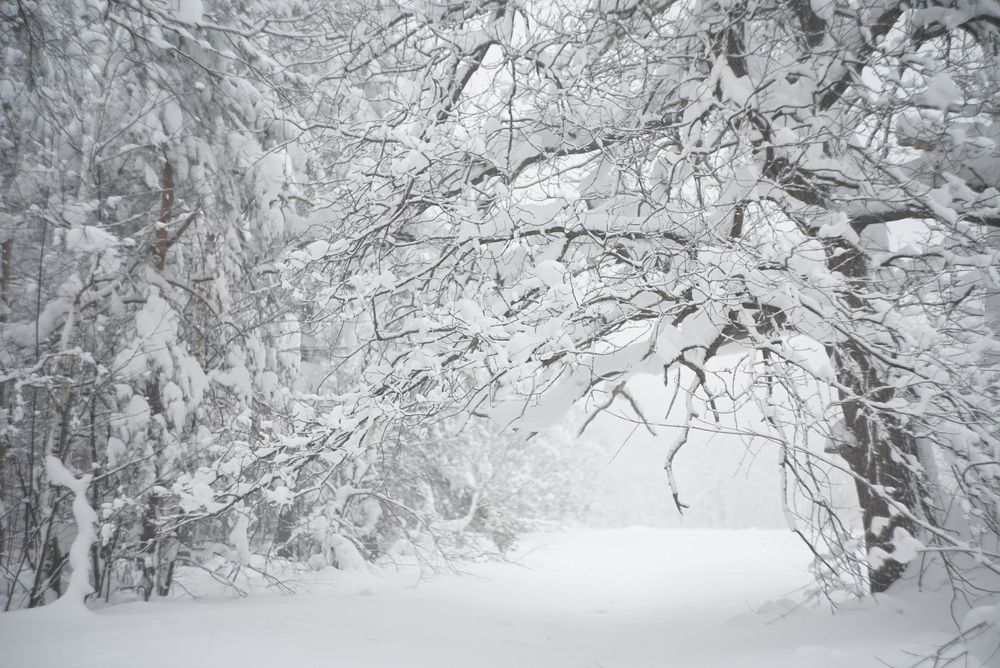 Photograph by Мария Федотова