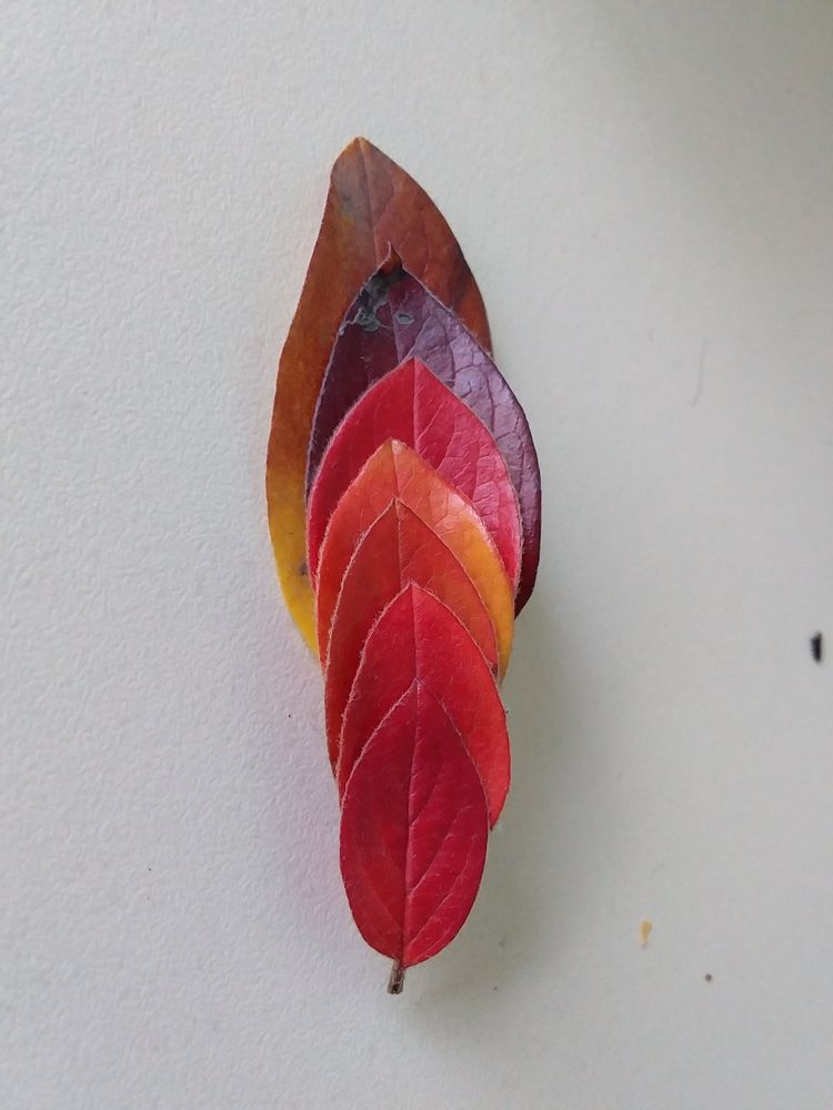 Photograph by Анастасия Кичигина