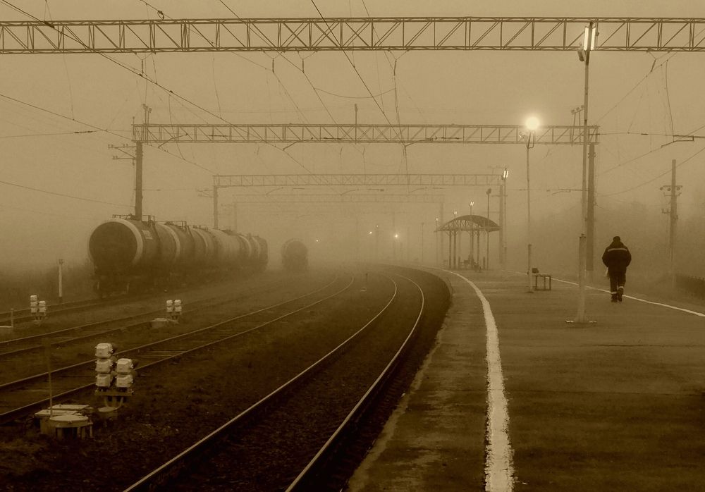 Photograph by Михаил Соколов