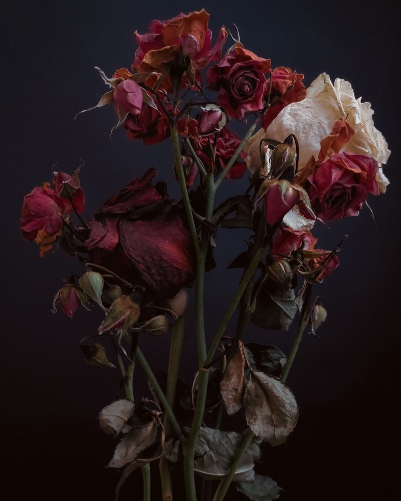 Photograph by Veronika Koneva