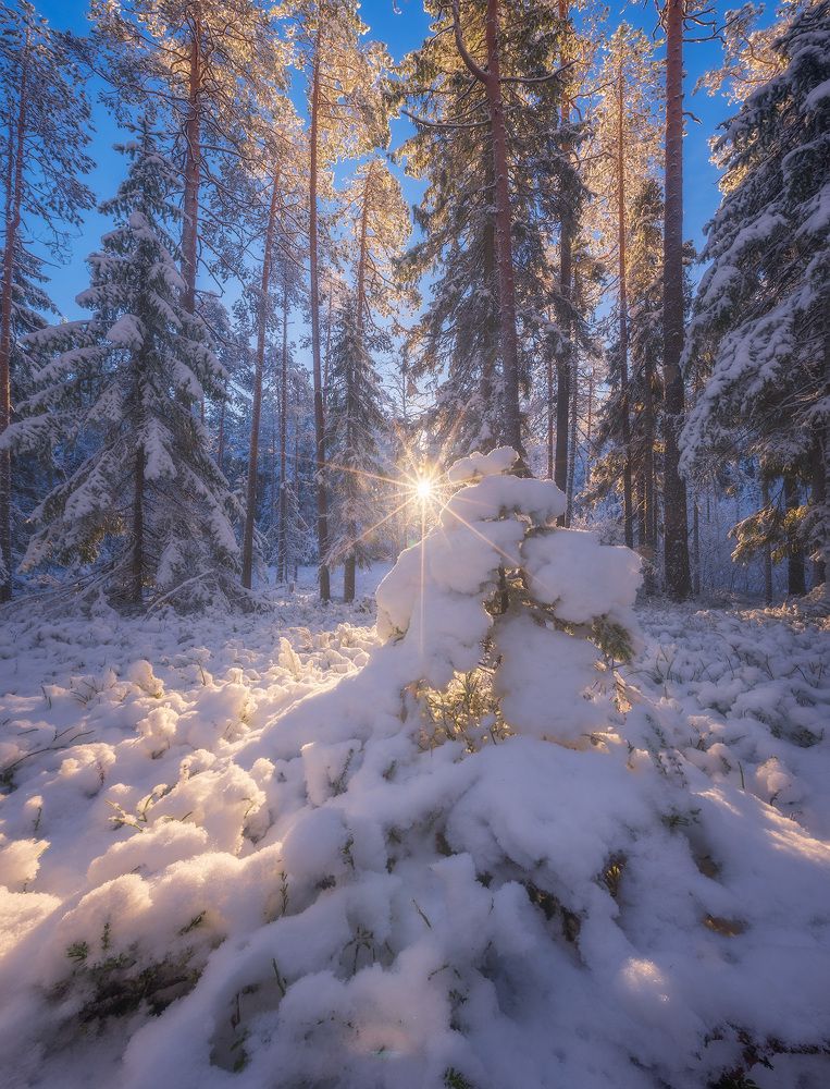 Photograph by Алексей Марголин