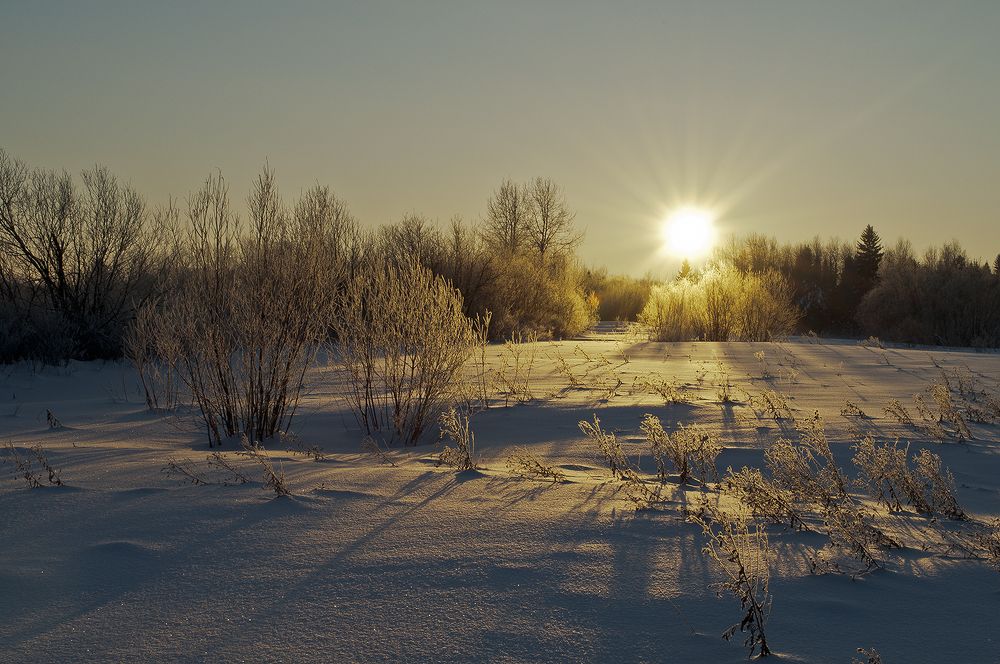 Глядя на звезду