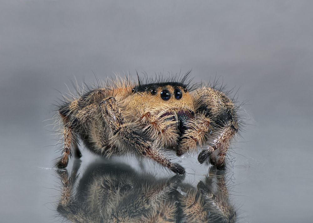 Photograph by Анастасия Третьякова