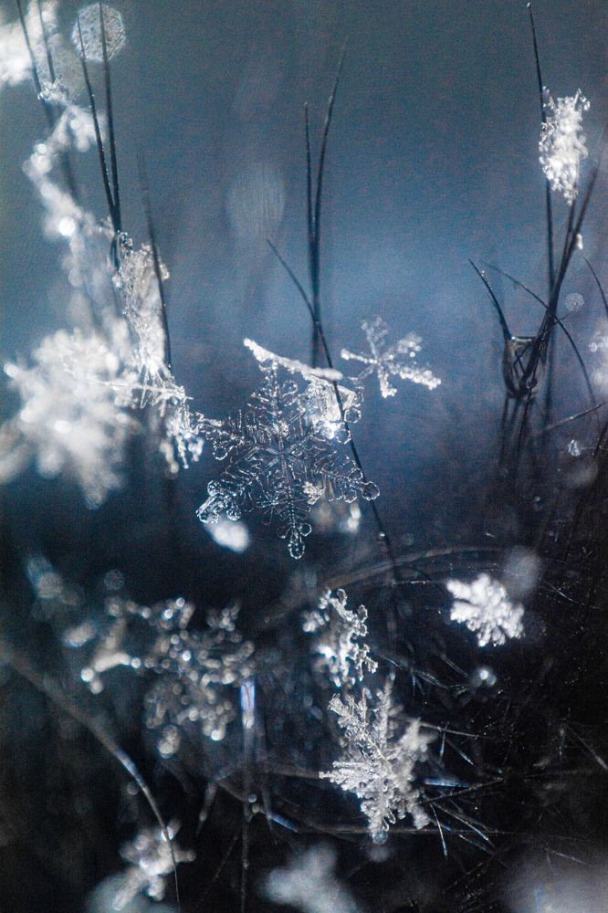 Photograph by Чипочанов Владислав