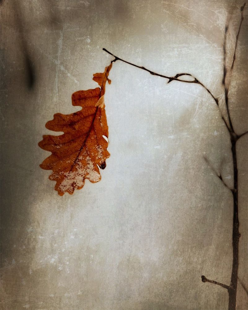 Одиночество